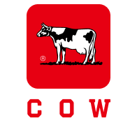 牛乳石鹸