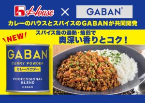 ハウス食品株式会社　GABAN　カレーパウダー　B5POP